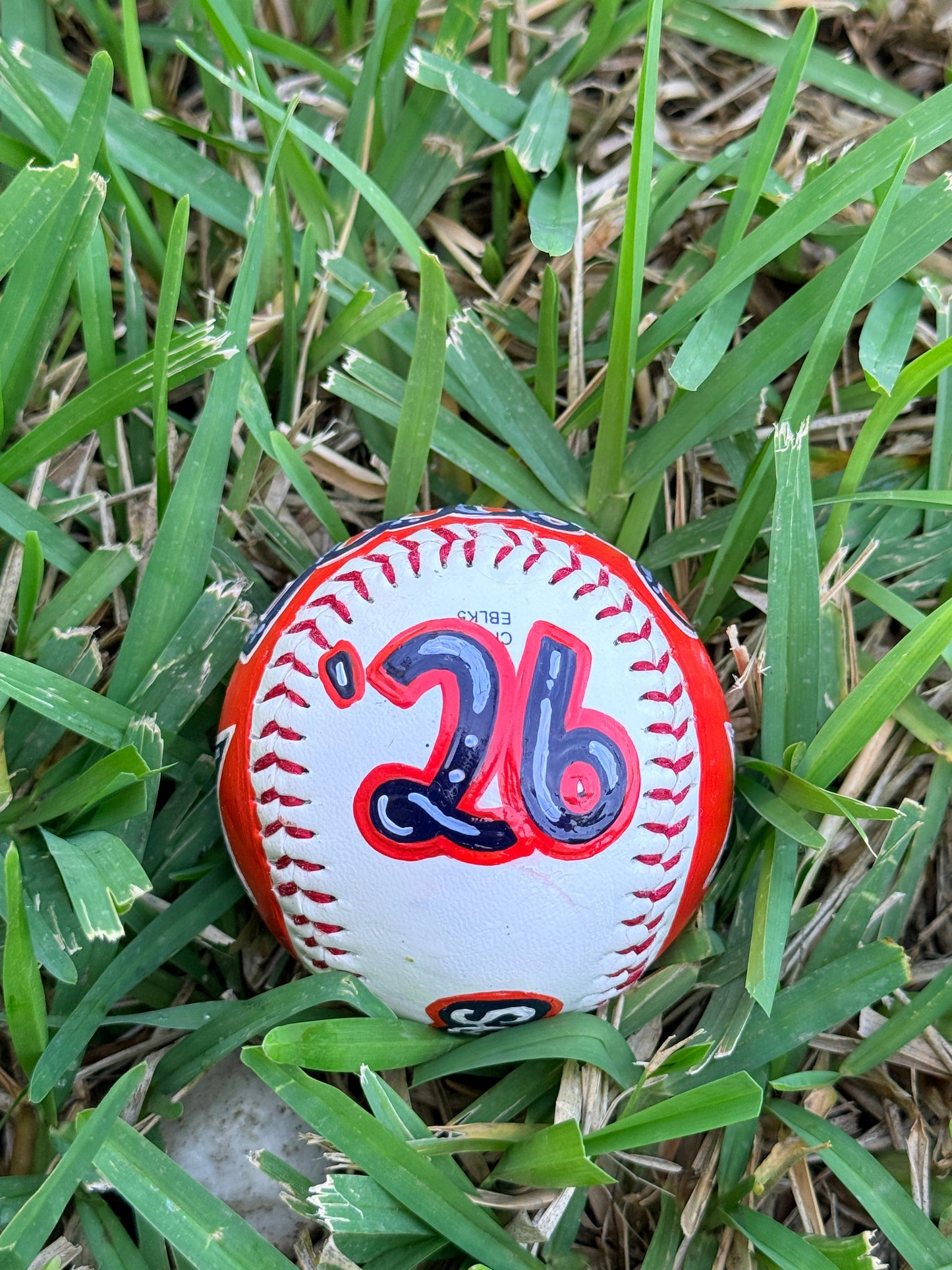 Customized/Personalized Hand Painted Sports Ball